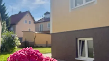 Nahaufnahme von leuchtend rosa Hortensien im Vorgarten eines Hauses mit heller Fassade.