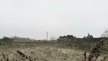 Unbebautes Grundstück mit trockener Vegetation unter bewölktem Himmel, bereit für zukünftige Entwicklung.