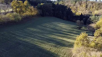Weitläufige grüne Wiese umgeben von Bäumen und Hügeln, mit langen Schatten am Nachmittag.