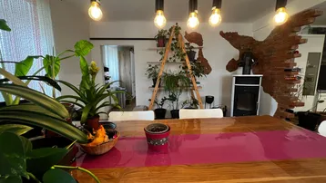 Essbereich mit Holztisch, modernen Stühlen und dekorativen Pflanzen, ergänzt durch einen Kaminofen.