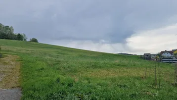 Weitläufige grüne Wiese mit leichtem Hang unter bewölktem Himmel, ideal für naturnahes Wohnen.