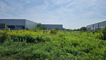 Weitläufiges, grünes Grundstück mit hohem Gras und Büschen, umgeben von modernen Gewerbegebäuden unter blauem Himmel.