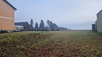 Weitläufiges Feld mit grüner Wiese und einigen Bäumen im Hintergrund unter einem bewölkten Himmel.