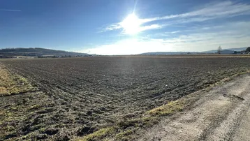 Weites Feld unter blauem Himmel mit strahlender Sonne, umgeben von ländlicher Landschaft.