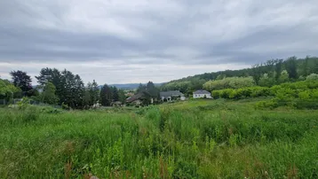 Weitläufige grüne Landschaft mit vereinzelten Häusern im Hintergrund unter einem bewölkten Himmel.