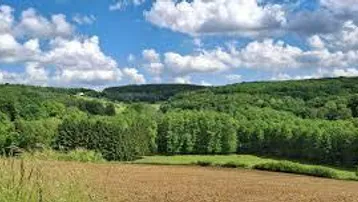Weite Landschaft mit grünen Wäldern und Feldern unter blauem Himmel mit Wolken.