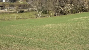 Grünes Feld mit ländlicher Umgebung und Gebäuden im Hintergrund unter blauem Himmel.