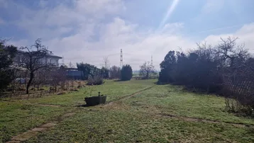 Weitläufiger Gartenbereich mit Grasfläche und einigen Bäumen unter einem sonnigen Himmel.
