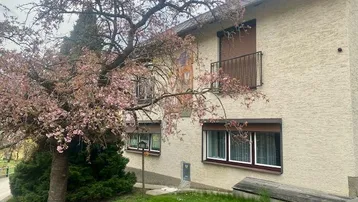 Traditionelles Gebäude mit beiger Fassade, braunen Fensterläden und blühendem Baum im Vorgarten.