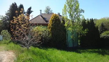 Seitenansicht des Hauses, umgeben von hohen Bäumen und üppigem Grün unter blauem Himmel.