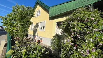 Gelbe Hausfassade mit grünen Dächern und üppiger Bepflanzung im Vorgarten.