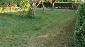 Gepflegter Gartenbereich mit Rasenfläche und jungen Obstbäumen, umgeben von einer Hecke.
