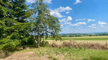 Weitläufiger Blick über grüne Felder und die ländliche Umgebung unter einem strahlend blauen Himmel.