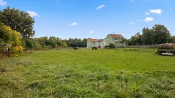 Weitläufige grüne Wiese mit Pferden und Gebäuden im Hintergrund unter blauem Himmel.