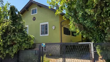 Grünes Haus mit Satteldach, umgeben von Bäumen und einem Metallzaun, der das Grundstück abgrenzt.