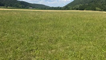 Weite grüne Wiese mit bewaldeten Hügeln im Hintergrund unter blauem Himmel.