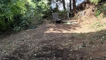 Ungepflegter Gartenbereich mit Bäumen und einem einzelnen Stuhl im Grünen.