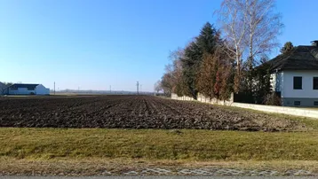 Weitläufiges Grundstück mit Ackerland und angrenzenden Feldern unter blauem Himmel.