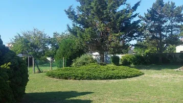 Großer, gepflegter Gartenbereich mit Rasenfläche und einem markanten Nadelbaum in der Mitte.