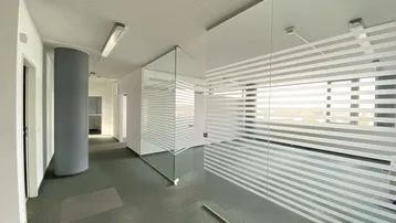 Moderner Büroraum mit Glaswänden und Teppichboden, bietet flexible Arbeitsbereiche und viel Tageslicht.
