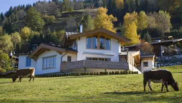 Traditionelles Alpenhaus in idyllischer Berglandschaft mit grasenden Kühen im Vordergrund.