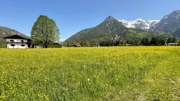 Weitläufige grüne Wiese mit gelben Blumen und traditionellem Haus vor imposanter Bergkulisse.