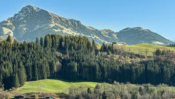 Weitläufige Landschaft mit grünen Hügeln, dichten Wäldern und majestätischen Bergen im Hintergrund.