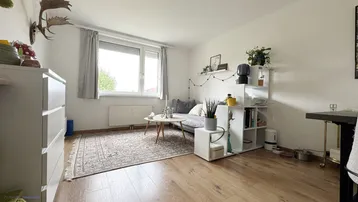 Helles Wohnzimmer mit Holzboden, Fenster und gemütlicher Sitzecke sowie Hirschgeweih-Dekoration.