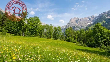 Idyllische Berglandschaft mit blühender Wiese und majestätischen Gipfeln unter blauem Himmel.