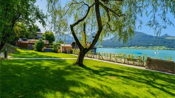 Gepflegter Gartenbereich mit Rasen, altem Baum und direktem Zugang zum See mit Bergblick.