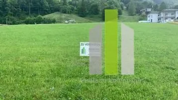 Weitläufige grüne Wiese mit Bergblick und einigen Gebäuden im Hintergrund.