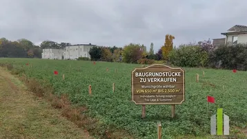 Grünes Feld mit abgesteckten Baugrundstücken und einem Verkaufsschild im Vordergrund, umgeben von Bäumen und Gebäuden.