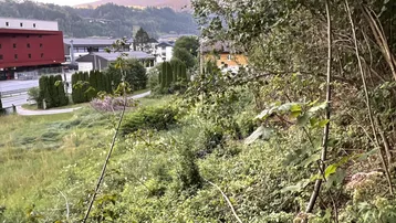 Blick auf eine grüne Landschaft mit Bäumen, Gebäuden und Bergen im Hintergrund, aufgenommen von einer erhöhten Position.