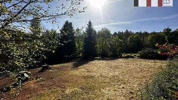 Sonniges Grundstück mit weitem Blick ins Grüne und umgebenden Bäumen, ideal für ein Eigenheim.