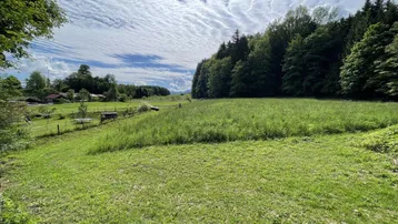 Weitläufige grüne Wiese mit Blick auf umliegende Bäume und entfernte Häuser unter blauem Himmel.