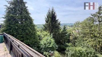 Weitläufiger Blick über eine grüne Hügellandschaft mit vielen Bäumen und bewaldeten Gebieten.