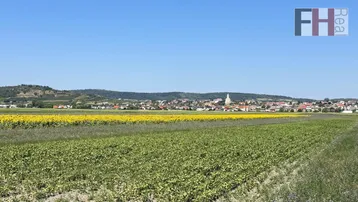 Expose Landwirtschaftliche Grundstücke in Streulage der Gemeinde Jois/Neusiedl
