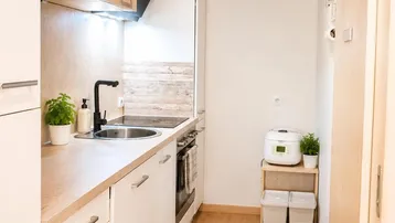 Schmale Küche mit hellen Holzschränken, Laminatboden und Holzdecke.