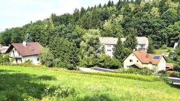 Weitläufige grüne Landschaft mit Wohnhäusern und dichtem Wald im Hintergrund unter blauem Himmel.