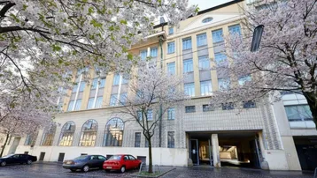 Gebäudefassade mit blühenden Kirschbäumen im Frühling und geparkten Autos davor.