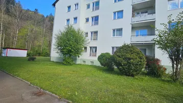 Mehrfamilienhaus mit grüner Fassade, Balkonen und umgebender Natur am Waldrand.