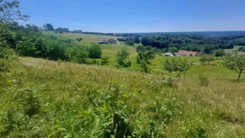Weitläufige grüne Hügellandschaft mit vereinzelten Häusern in der Ferne unter blauem Himmel.