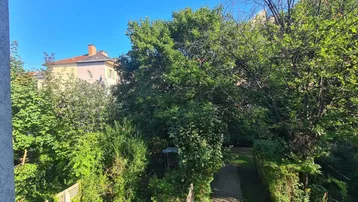 Blick auf üppiges Grün und einen Weg, mit Gebäuden im Hintergrund unter blauem Himmel.