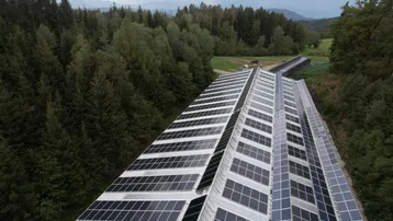 Dachfläche eines Gebäudes mit zahlreichen Photovoltaikmodulen, umgeben von Waldlandschaft.