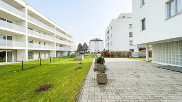 Moderne Wohngebäude mit gepflegter Rasenfläche und gepflastertem Gehweg unter blauem Himmel.