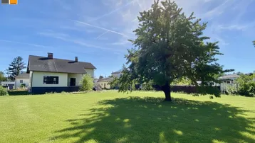 Großer, gepflegter Garten mit altem Baum und viel Grünfläche unter strahlendem Himmel.