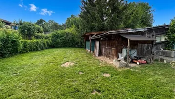 Weitläufiger Garten mit Rasenfläche, altem Holzschuppen und hohen Bäumen im Hintergrund.