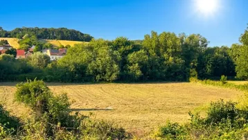 Weitläufiges Feld mit grünen Bäumen und Häusern im Hintergrund unter strahlend blauem Himmel.