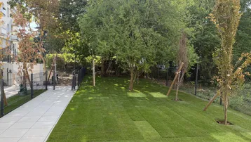 Gepflegter Gartenbereich mit Rasenfläche, Bäumen und einer modernen Holzterrasse.