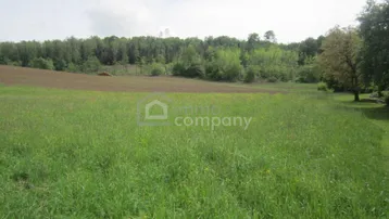 Weitläufige grüne Wiese mit Waldrand im Hintergrund unter bewölktem Himmel.